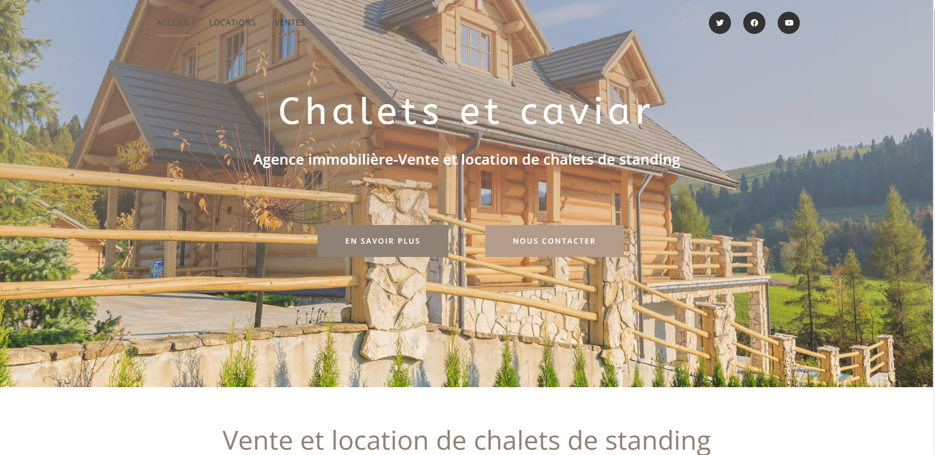 Capture du site web